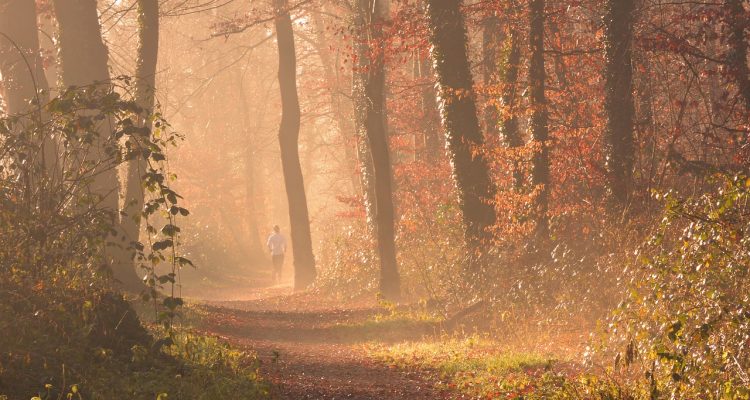découvrez l'essentiel de l'endurance : entraînements, conseils nutritionnels et stratégies pour améliorer votre performance et atteindre vos objectifs sportifs. que vous soyez débutant ou athlète confirmé, apprenez à repousser vos limites et à savourer chaque étape de votre parcours.