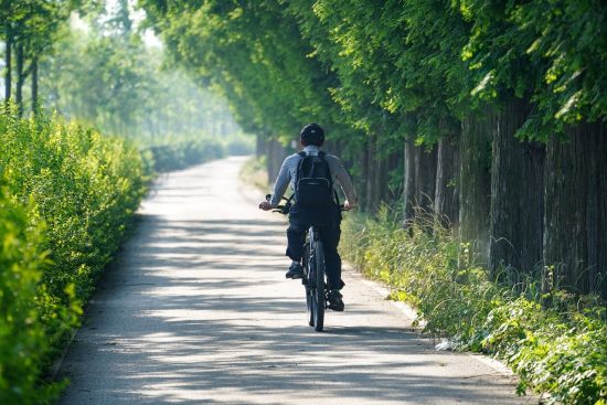 préparez-vous efficacement pour vos sorties à vélo avec nos conseils experts, astuces d'entraînement et recommandations d'équipement pour les cyclistes de tous niveaux.