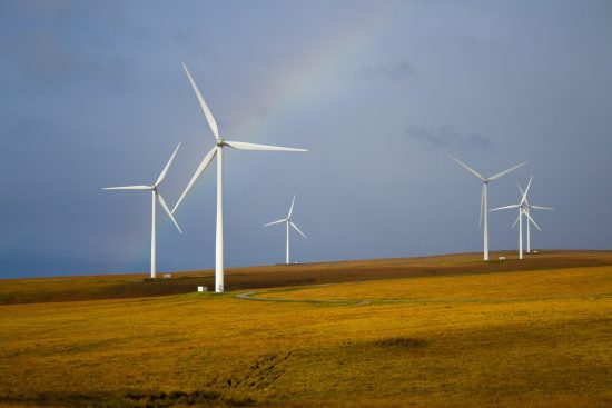 découvrez l'art de vivre durable avec des conseils pratiques, des astuces écologiques et des solutions innovantes pour réduire votre empreinte carbone et préserver notre planète pour les générations futures.