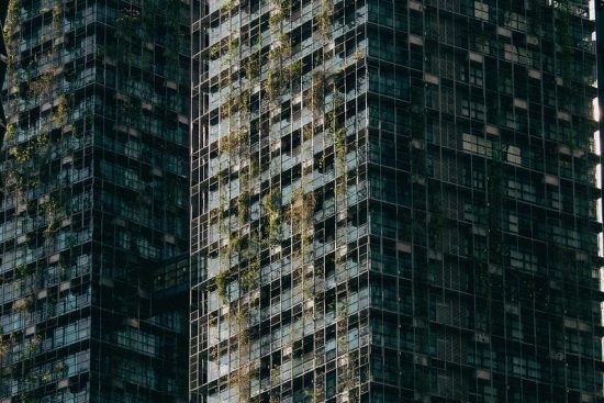 découvrez comment adopter un mode de vie durable, respectueux de l'environnement et bénéfique pour la planète. explorez des conseils pratiques, des astuces éco-responsables et des inspirations pour intégrer la durabilité au quotidien.