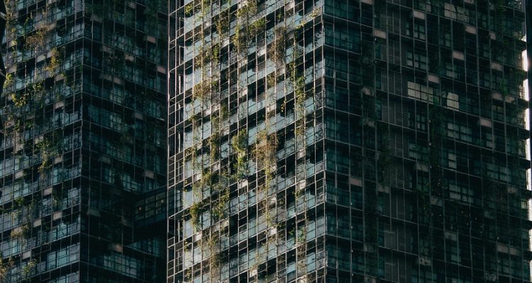 découvrez comment adopter un mode de vie durable, respectueux de l'environnement et bénéfique pour la planète. explorez des conseils pratiques, des astuces éco-responsables et des inspirations pour intégrer la durabilité au quotidien.