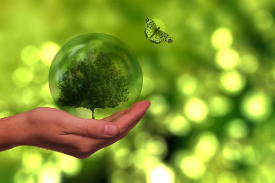 découvrez comment la durabilité transforme notre monde. explorez des pratiques écoresponsables, des innovations vertes et des solutions pour un avenir durables qui préservent notre planète pour les générations futures.