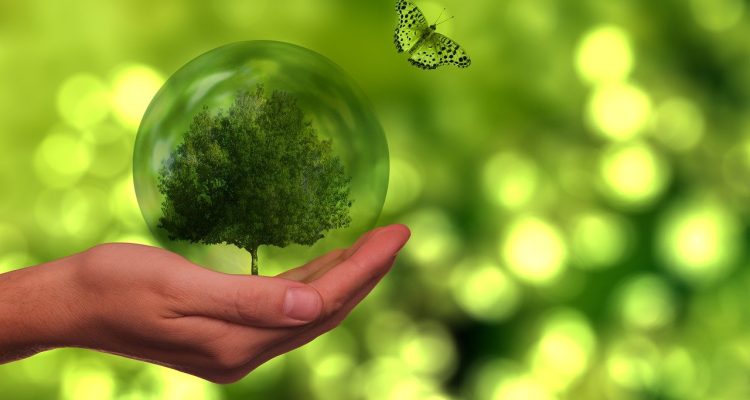 découvrez comment la durabilité transforme notre monde. explorez des pratiques écoresponsables, des innovations vertes et des solutions pour un avenir durables qui préservent notre planète pour les générations futures.