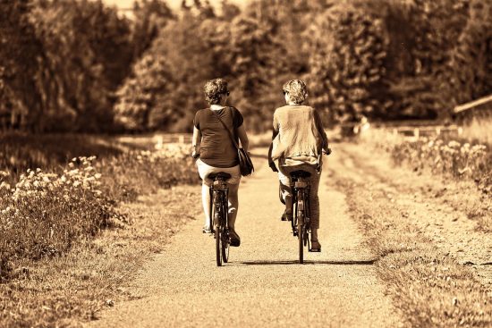 découvrez les meilleures destinations de vélo sur route à travers le monde. des paysages à couper le souffle, des itinéraires adaptés à tous les niveaux et une riche culture à explorer. préparez-vous pour l'aventure de votre vie à travers des routes pittoresques et des panoramas inoubliables.