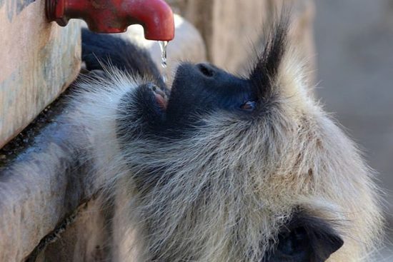 découvrez l'importance de l'hydratation pour votre santé et votre bien-être. apprenez des astuces pratiques pour rester bien hydraté tout au long de la journée, améliorez votre performance physique et boostez votre énergie grâce à une bonne hydratation.