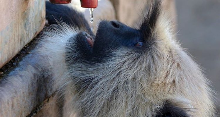 découvrez l'importance de l'hydratation pour votre santé et votre bien-être. apprenez des astuces pratiques pour rester bien hydraté tout au long de la journée, améliorez votre performance physique et boostez votre énergie grâce à une bonne hydratation.