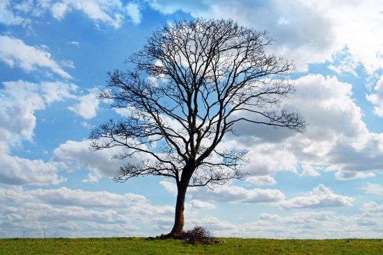 découvrez l'importance des jours de repos dans votre routine sportive. apprenez comment ces pauses essentielles favorisent la récupération, améliorent les performances et préviennent les blessures, tout en vous permettant de rester motivé et performant dans vos activités physiques.