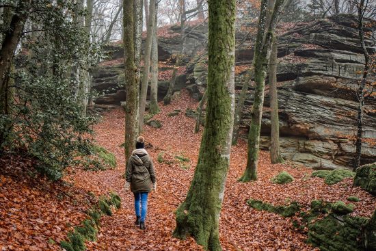 découvrez l'univers du hiking : entre paysages à couper le souffle et aventure en pleine nature, préparez-vous à explorer des sentiers variés, à relever de nouveaux défis et à vous reconnecter avec votre environnement. que vous soyez débutant ou expert, vivez des moments uniques à chaque étape.