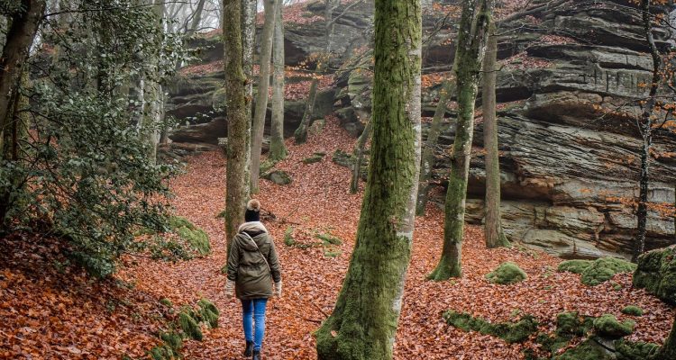 découvrez l'univers du hiking : entre paysages à couper le souffle et aventure en pleine nature, préparez-vous à explorer des sentiers variés, à relever de nouveaux défis et à vous reconnecter avec votre environnement. que vous soyez débutant ou expert, vivez des moments uniques à chaque étape.