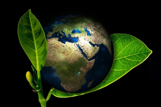 découvrez l'importance de l'éco-responsabilité et comment adopter des pratiques durables pour préserver notre planète. explorez des conseils pratiques, des initiatives et des solutions pour minimiser votre impact environnemental et contribuer à un avenir plus vert.