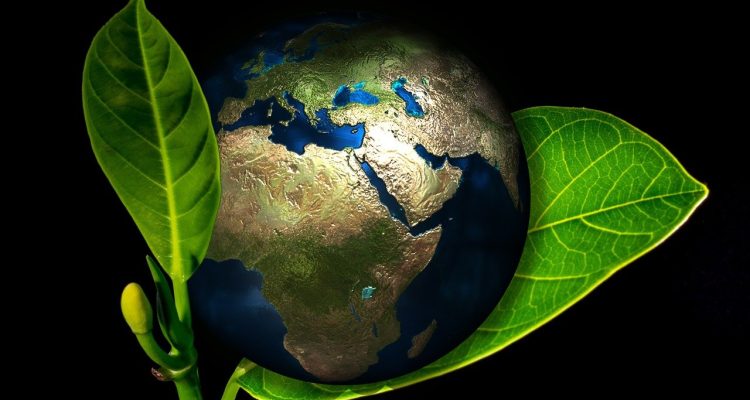 découvrez l'importance de l'éco-responsabilité et comment adopter des pratiques durables pour préserver notre planète. explorez des conseils pratiques, des initiatives et des solutions pour minimiser votre impact environnemental et contribuer à un avenir plus vert.