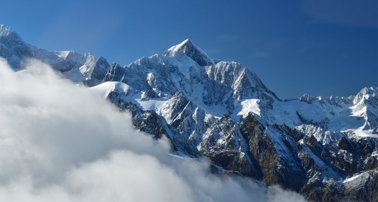 découvrez toutes les dernières actualités sportives, analyses et résultats des compétitions. restez informé des performances des équipes et des athlètes, et ne manquez aucune info sur vos sports préférés.