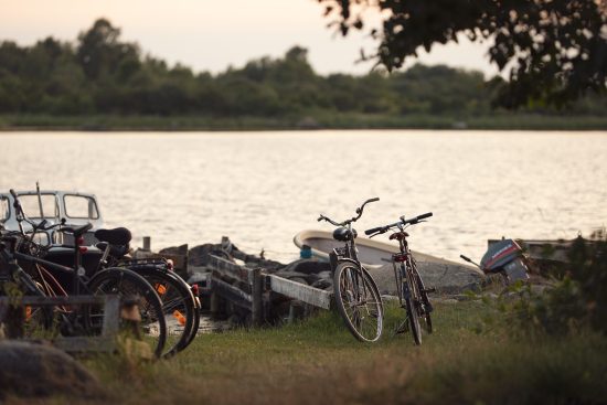découvrez l'équipement de sécurité indispensable pour les cyclistes. protégez-vous avec des casques, des lumières, des gilets réfléchissants et plus encore. garantissez votre sécurité sur la route et profitez de vos balades à vélo en toute tranquillité.