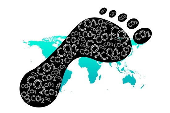 découvrez l'empreinte écologique, un indicateur clé de l'impact environnemental de nos activités. apprenez comment réduire votre empreinte pour préserver notre planète et adopter des pratiques durables. explorez les enjeux liés à la consommation des ressources et aux changements climatiques.