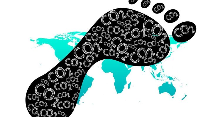 découvrez l'empreinte écologique, un indicateur clé de l'impact environnemental de nos activités. apprenez comment réduire votre empreinte pour préserver notre planète et adopter des pratiques durables. explorez les enjeux liés à la consommation des ressources et aux changements climatiques.
