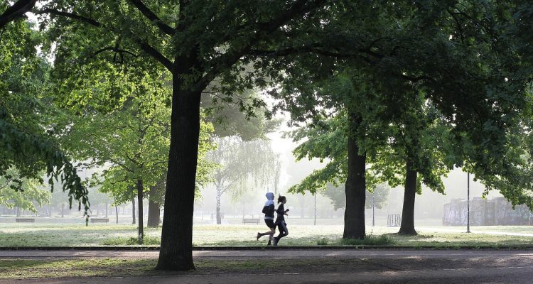 découvrez le monde du fitness : conseils, entraînements, nutrition et motivation pour atteindre vos objectifs de remise en forme. rejoignez une communauté passionnée et transformez votre corps et votre esprit grâce à des routines adaptées à tous les niveaux.