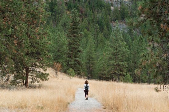 découvrez la passion de la randonnée avec nos conseils pratiques, itinéraires variés et astuces pour profiter pleinement des paysages naturels. que vous soyez débutant ou randonneur aguerri, préparez votre prochaine aventure en pleine nature!