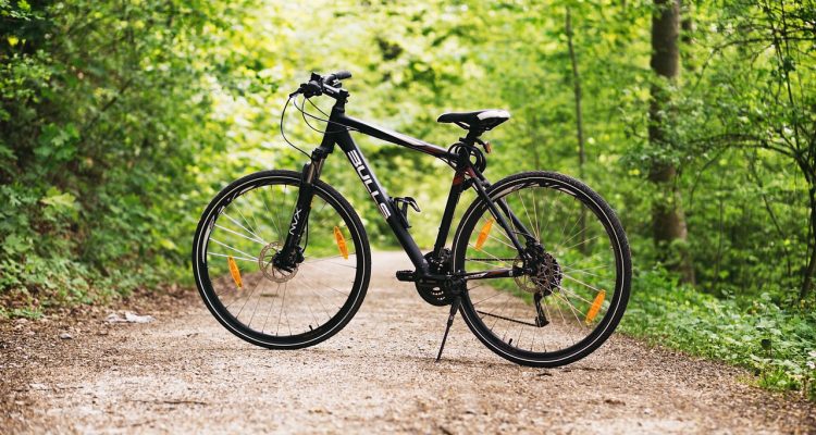 découvrez l'univers fascinant du vélo : conseils d'achat, astuces d'entretien, itinéraires de balades et nouveautés. que vous soyez novice ou cycliste aguerri, plongez dans notre guide complet pour profiter pleinement de votre expérience à deux roues.