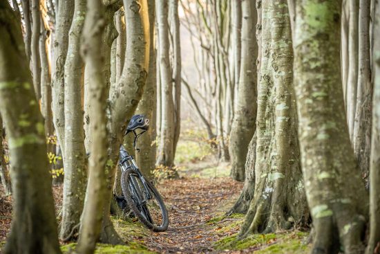 découvrez tout ce qu'il faut savoir sur le triathlon bike : conseils d'entraînement, choix du matériel, techniques de course et astuces pour améliorer vos performances. que vous soyez débutant ou athlète expérimenté, préparez-vous à pédaler vers l'excellence !