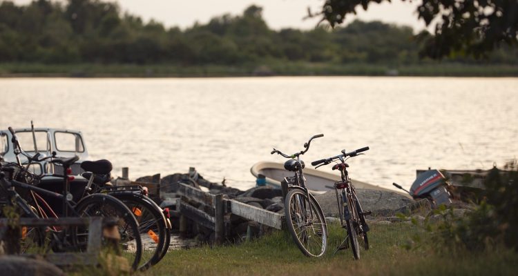 découvrez le confort et la praticité des vélos urbains, parfaits pour vos trajets quotidiens en ville. adoptez le city bike pour une mobilité durable et agréable.