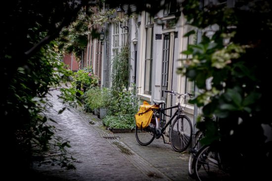 découvrez notre vaste sélection d'accessoires pour vélos urbains, conçus pour améliorer votre expérience de cyclisme en ville. que vous ayez besoin d'éclairages, de sacoches, de porte-bouteilles ou d'équipements de sécurité, trouvez tout ce qu'il vous faut pour profiter pleinement de vos trajets en vélo en milieu urbain.