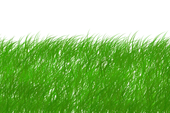 découvrez les enjeux de la durabilité et comment adopter des pratiques écoresponsables pour préserver notre planète. explorez des solutions innovantes et engagez-vous pour un avenir durable.
