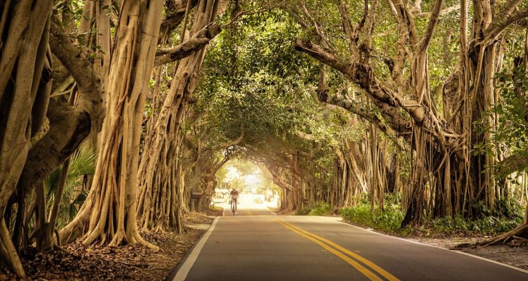 découvrez une variété d'entraînements de cyclisme adaptés à tous les niveaux. améliorez votre endurance, votre force et votre technique avec nos conseils, programmes et astuces pour optimiser vos performances à vélo.
