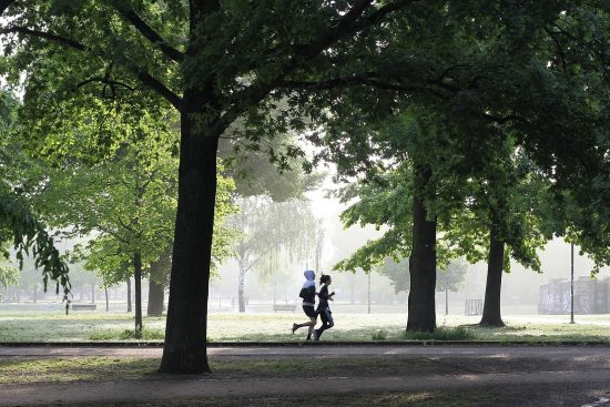 découvrez une sélection d'exercices d'échauffement essentiels pour préparer votre corps à l'effort. améliorez votre performance sportive et réduisez le risque de blessures grâce à ces routines simples et efficaces. que vous soyez amateur ou athlète confirmé, ces warm-up exercises sont idéaux pour optimiser votre séance d'entraînement.