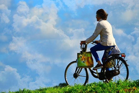 découvrez notre sélection de vélos d'appartement pour un entraînement efficace à domicile. profitez d'une expérience de fitness agréable tout en améliorant votre endurance et en brûlant des calories. idéal pour tous les niveaux, notre gamme de vélos d'exercice allie performance et confort.
