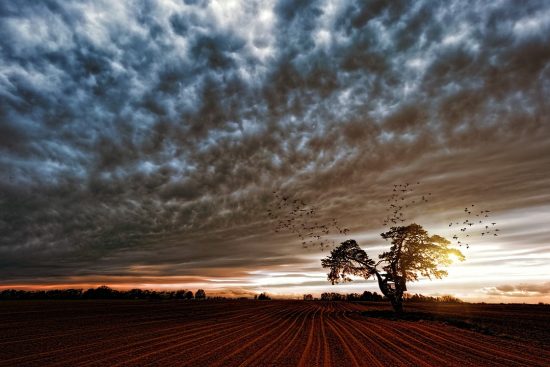 découvrez l'univers des émotions avec notre article sur le 'mood'. apprenez comment l'humeur influence notre quotidien et explorez des conseils pour améliorer votre bien-être émotionnel.