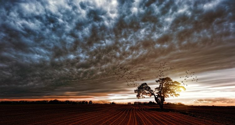 découvrez l'univers des émotions avec notre article sur le 'mood'. apprenez comment l'humeur influence notre quotidien et explorez des conseils pour améliorer votre bien-être émotionnel.