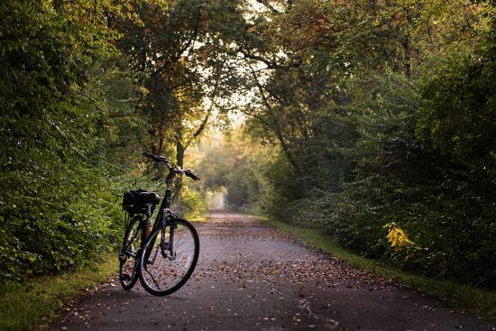 découvrez notre vaste sélection d'accessoires de vélo pour améliorer votre expérience de conduite. que vous soyez amateur ou cycliste aguerri, trouvez tout le nécessaire : éclairages, compteurs, porte-bidons et bien plus encore. équipez-vous pour rouler en toute sécurité et confort.