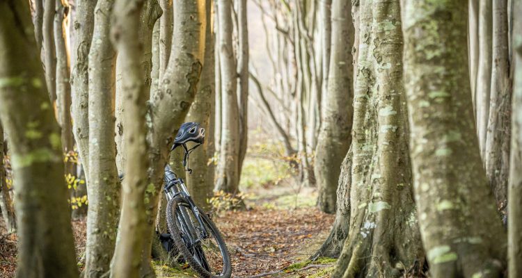 découvrez les nombreux bienfaits de voyager à vélo : une manière unique d'explorer de nouveaux horizons tout en améliorant votre santé physique et mentale, en réduisant votre empreinte carbone et en vivant des expériences inoubliables au contact de la nature.