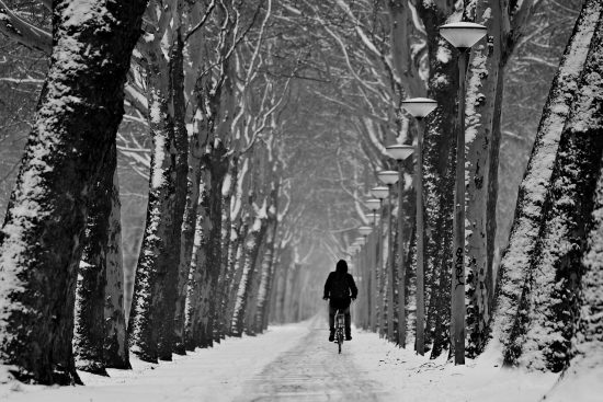 découvrez l'univers passionnant des cyclistes : conseils, techniques, équipements et itinéraires pour tous les amoureux du vélo. que vous soyez débutant ou expert, trouvez tout ce qu'il vous faut pour profiter pleinement de vos balades à deux roues.