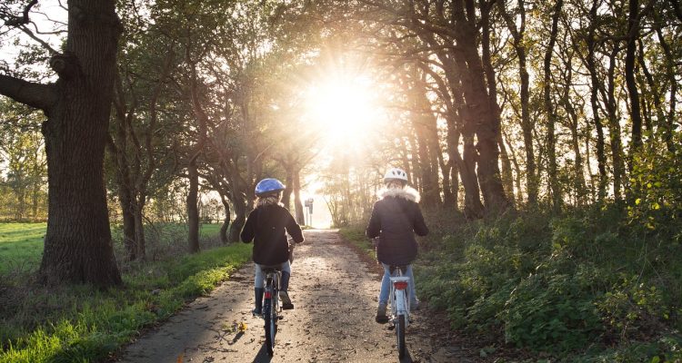 découvrez nos conseils essentiels pour garantir la sécurité à vélo. apprenez les bonnes pratiques, les équipements indispensables et les règles de circulation à suivre pour rouler en toute sérénité.