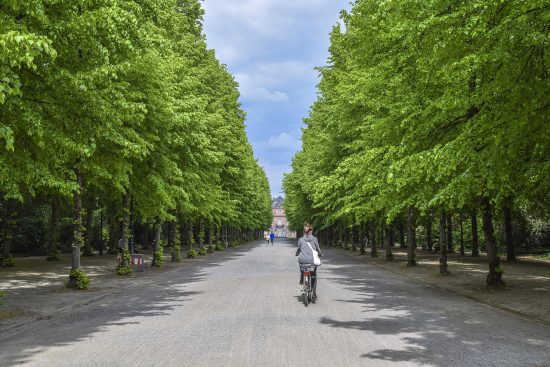 découvrez des conseils essentiels pour améliorer la sécurité des cyclistes sur la route. apprenez les meilleures pratiques et les équipements indispensables pour garantir une expérience de vélo sûre et agréable.