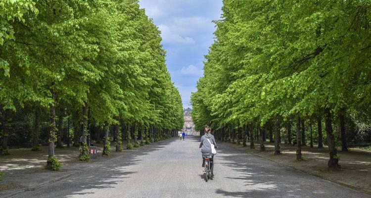 découvrez des conseils essentiels pour améliorer la sécurité des cyclistes sur la route. apprenez les meilleures pratiques et les équipements indispensables pour garantir une expérience de vélo sûre et agréable.
