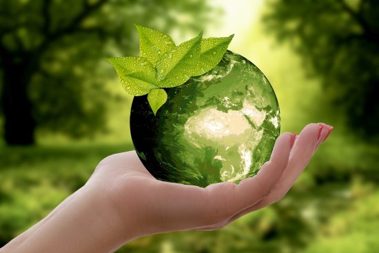 découvrez les principes de la durabilité et comment adopter des pratiques respectueuses de l'environnement pour un avenir meilleur. explorez des solutions innovantes et des conseils pratiques pour intégrer la durabilité dans votre quotidien.