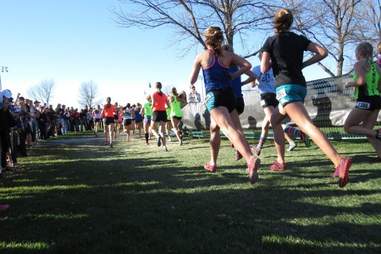 découvrez le cross-training, une méthode d'entraînement multifonctionnelle qui combine endurance, force et flexibilité. obtenez des résultats rapides en diversifiant vos exercices et en améliorant votre performance globale. rejoignez la communauté des passionnés de fitness dès aujourd'hui !