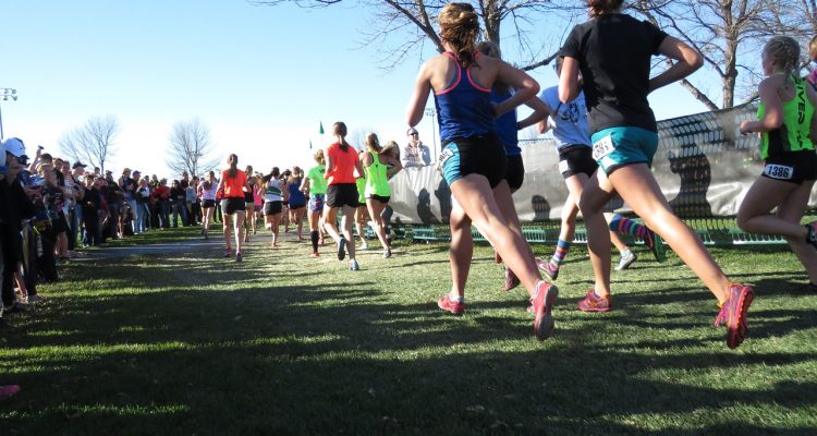découvrez le cross-training, une méthode d'entraînement multifonctionnelle qui combine endurance, force et flexibilité. obtenez des résultats rapides en diversifiant vos exercices et en améliorant votre performance globale. rejoignez la communauté des passionnés de fitness dès aujourd'hui !