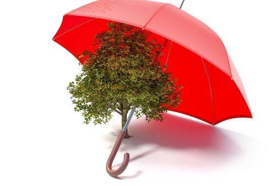 découvrez notre sélection d'équipements éco-responsables, alliant performance et respect de l'environnement. optez pour des solutions durables pour vos projets tout en réduisant votre empreinte écologique.