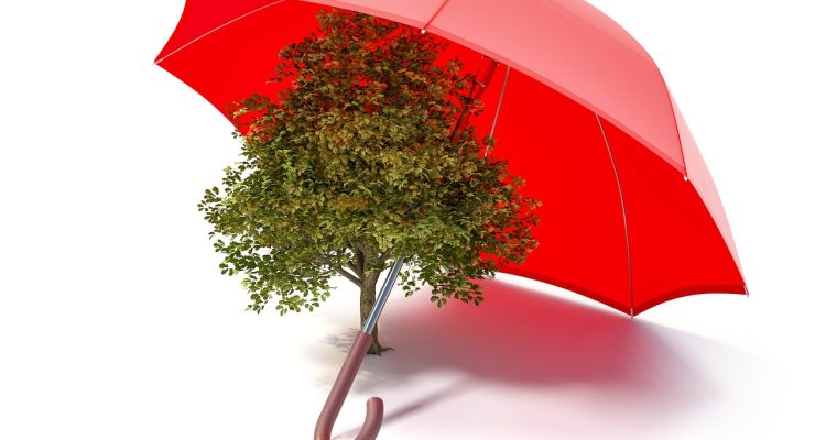 découvrez notre sélection d'équipements éco-responsables, alliant performance et respect de l'environnement. optez pour des solutions durables pour vos projets tout en réduisant votre empreinte écologique.